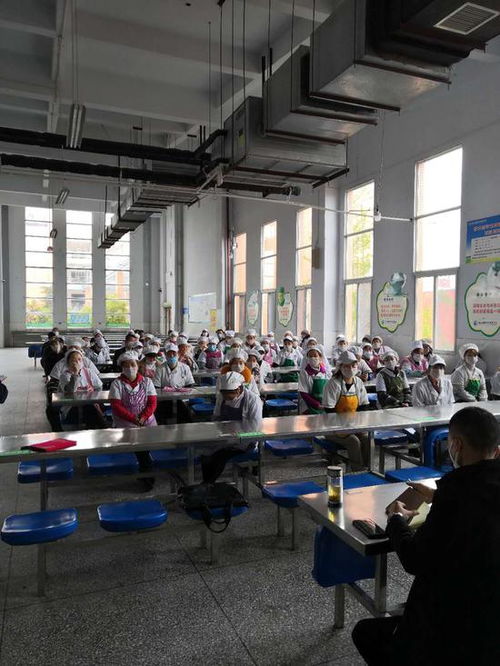 筑牢校園食品安全防線 射洪市經開區市場監管所深入綠然國際學校開展專項培訓